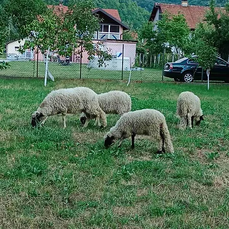 Lejlighed Sarajevo Hadžići